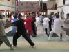 seminario de tai chi chuan 002.jpg