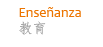 Ense&ntilde;anza