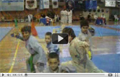 Copa Internacional Shaol�n