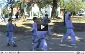 Ni�os del Kung Fu