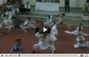 Templo Shaolin Argentina 2006